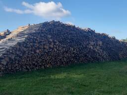 Дрова хвойних порід