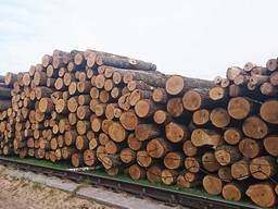 Дрова любих порід