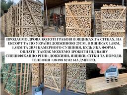 Дрова колоті грабові