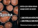 Дрова колоті сухі, дрова 2м - фото 3
