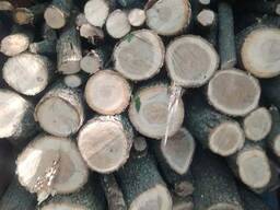 Дрова метрові оптом