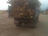 Дрова, обрезки - фото 3