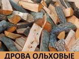 Берёзовые дрова. Дрова колотые: Дуб, Ольха, Сосна, Берёза. Доставка колотых дров.