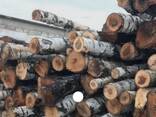 Дрова сосна береза кругляк - фото 1