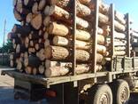 Дрова сосна береза кругляк - фото 2