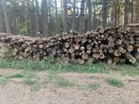 Дрова соснові - фото 2