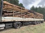 Дрова соснові - фото 3