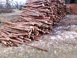 Дрова соснові і м'яколиствені