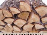 Колотые дрова: дуб, граб, ольха, береза, сосна, фрукты. Доставка от 8 складометров.