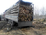 Дрова твердих порід - фото 3
