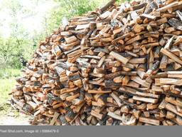 Дрова твердых пород