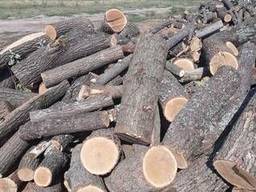 Дрова твердых пород (дуб, клен, ясень, вяз, береза) в чурках