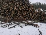 Дрова твердых пород: дуб, Ясень - фото 3