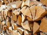 Дрова твердых пород (дуб, ясень) колотые. - фото 1