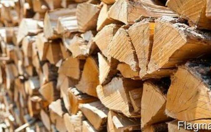 Дрова твердых пород (дуб, ясень) колотые.