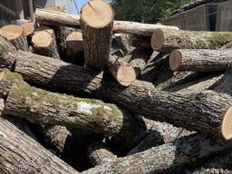 Дрова твердих порід (колоті , метрівки).