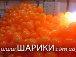 Друк логотипів на повітряних кульках, брендування кульок, кульки з логотипом - фото 1