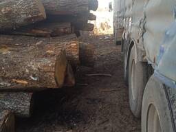 Дрова дуб метровки