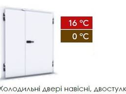 Двері до холодильної камери 1200x2000мм Кінгспан Kingspan (Польща)