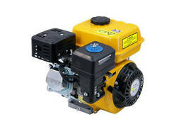 Двигатель бензиновый Forte F200G