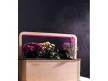 EcoBloom Розумний набір для вирощування Bluetooth - фото 1