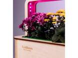EcoBloom Розумний набір для вирощування Bluetooth - фото 15