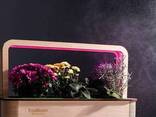 EcoBloom Розумний набір для вирощування Трави-Приправи - фото 2