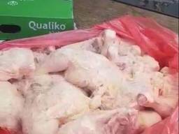 Экспорт тушка курица