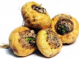 Экстракт Маки перуанской