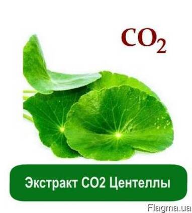 Экстракт СО2 Центеллы, 1 кг
