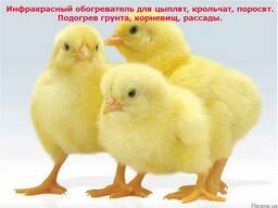 Электрический коврик-сушилка (подогрев для цыплят, грунта)
