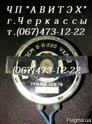 Электродвигатель для электрошашлычницы, двигатель ДСМ2П — Купить в ...