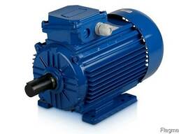 Електродвигун АІР 180S2 (22,0 кВт/3000 об/хв)