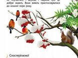 Детская энциклопедия про природу для дошкольников. Ranok Creative (614008) - фото 5