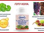 Ерсаг 2023 Готу Кола варикоз, пам'ять, інфаркт, алергія нерви, вага геморой - фото 2