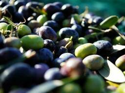 EV - Olive Squalene (Olive Oil Unsaponifiables)