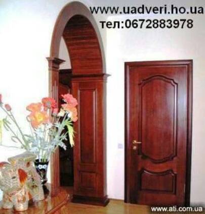 Евро двери из натурального дерева.
