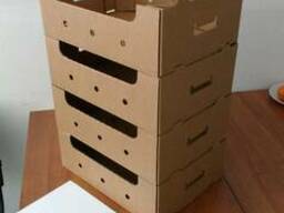 Евролоток. Склеенный. Огурец, помидор, черешня.