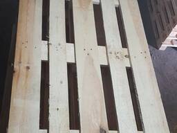 Европіддони 1200*800