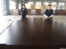 Фанера ламінована 21мм тополя виробництва Китай