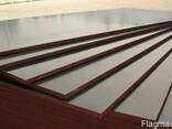 Фанера ламинированная водостойкая - фото 2