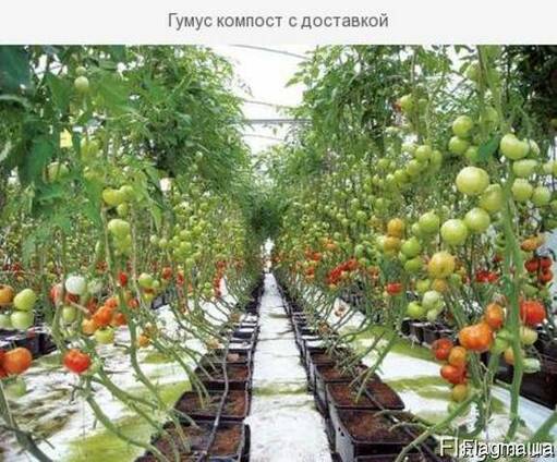 Ферментированный Компост