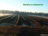 Ферментированный Компост - фото 2