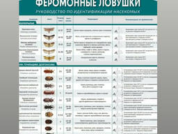 Феромонные ловушки - для борьбы с зерновыми вредителями.