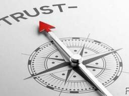 Финансовый налоговый менеджмент. Консультации. Планирование