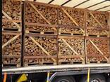 FireWood - фото 1