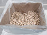 Фісташка, США, фісташка, natural/salted, USX#1, 21-25, опт (від 700кг. ) - фото 3