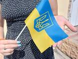 Флажки Украины с тризубом гербом 21х14 см на палочке