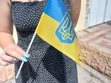 Флажки Украины с тризубом гербом 21х14 см на палочке