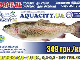 Форель мальок (форель зарибок)